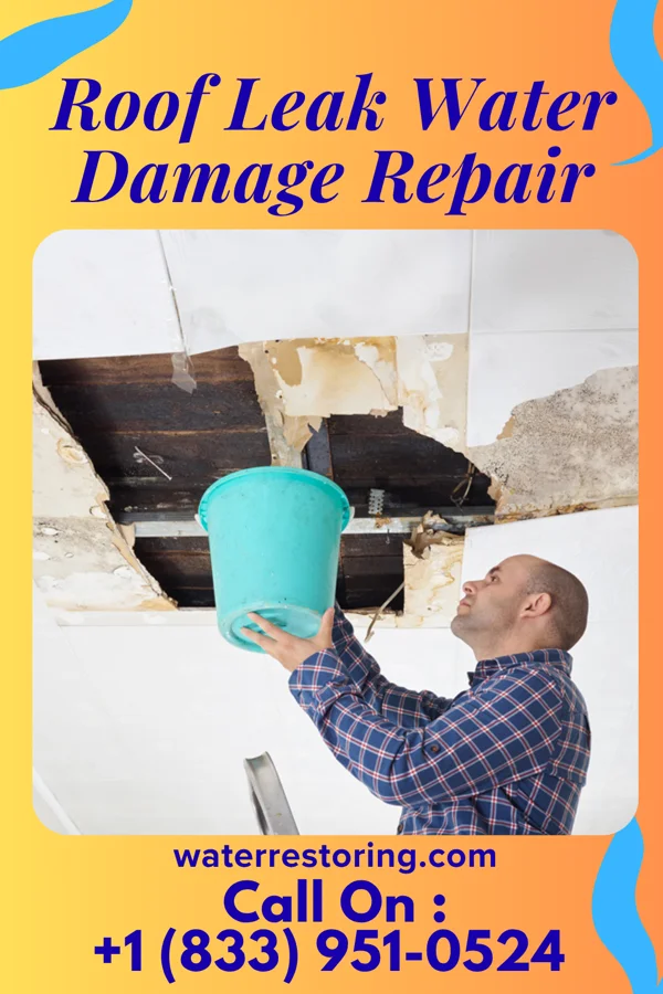 Roof Leak Water Damage Repair in Eden, ID